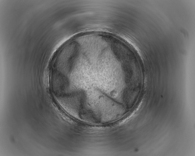 X0000112060925200908251017