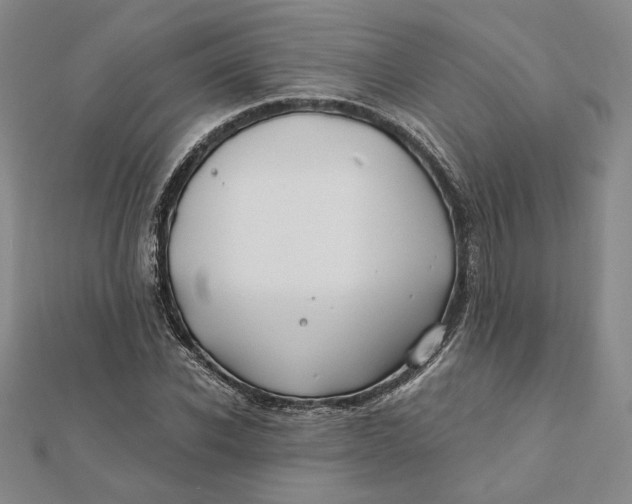 X0000112060926200908251017