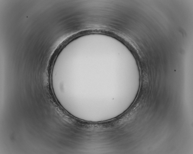 X0000112060927200908251017