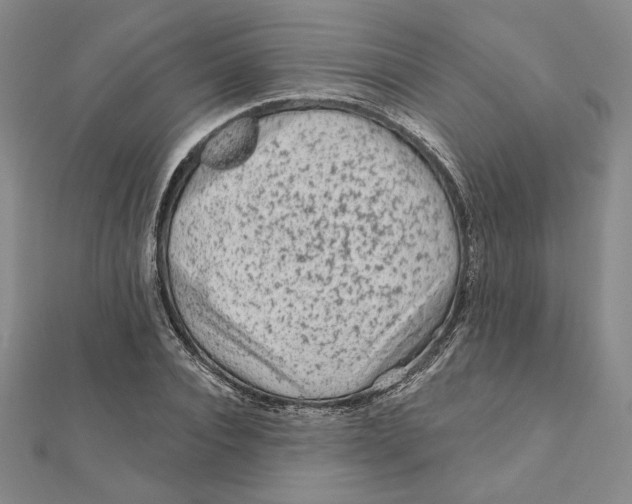 X0000112060928200908251017