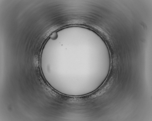 X0000112060929200908251017