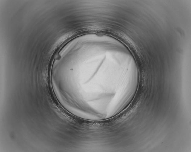 X0000112060930200908251017