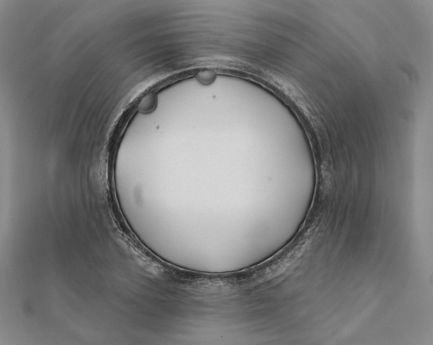 X0000112060931200908251017