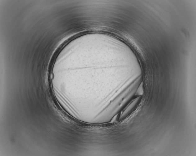 X0000112060932200908251017