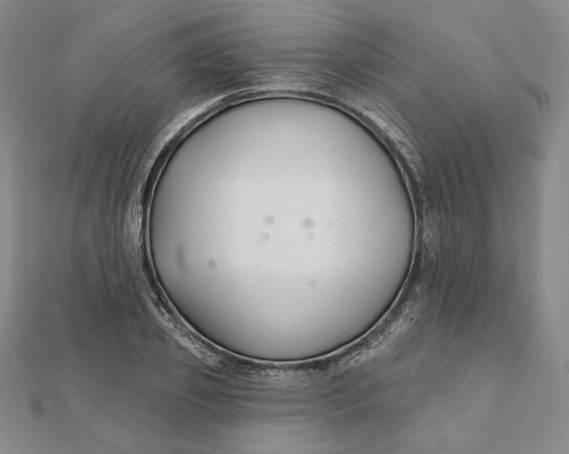 X0000112060933200908251017