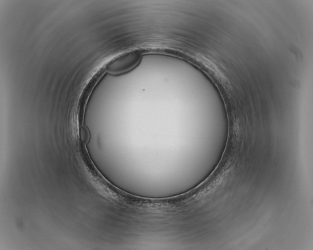 X0000112060934200908251017