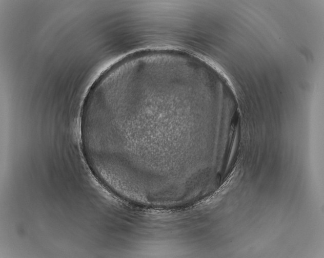 X0000112060935200908251017