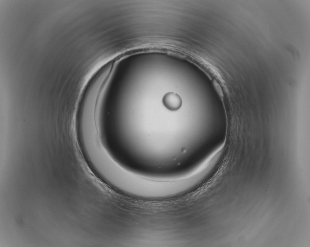 X0000112060936200908251018