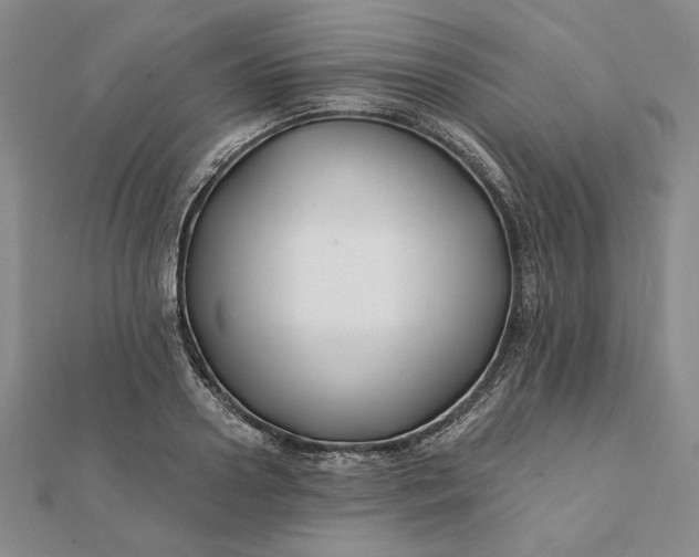 X0000112060938200908251018