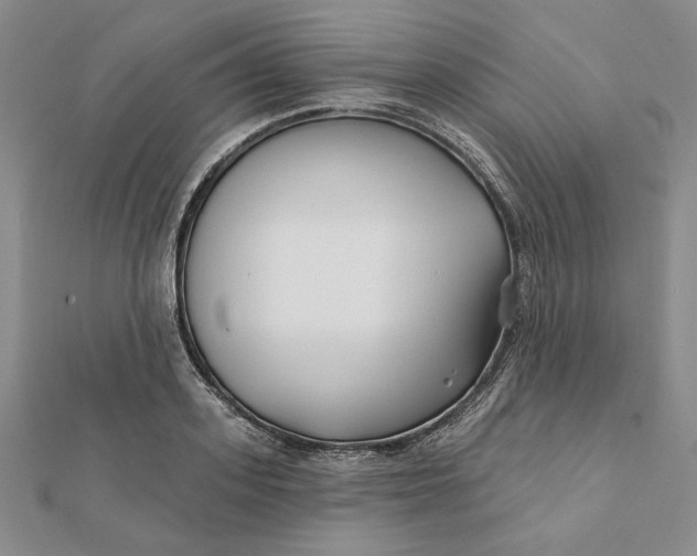 X0000112060939200908251018