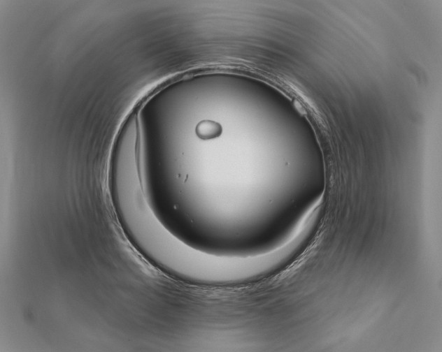 X0000112060940200908251018