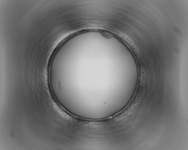 X0000112060942200908251018