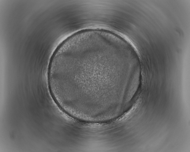 X0000112060943200908251018