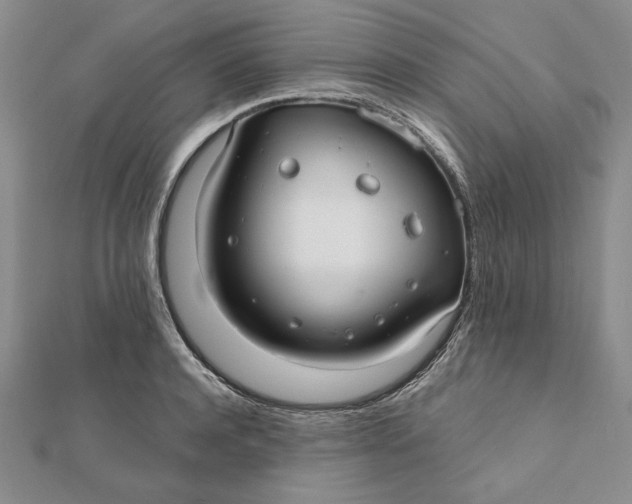 X0000112060944200908251018