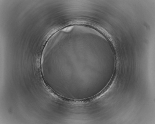 X0000112060945200908251018