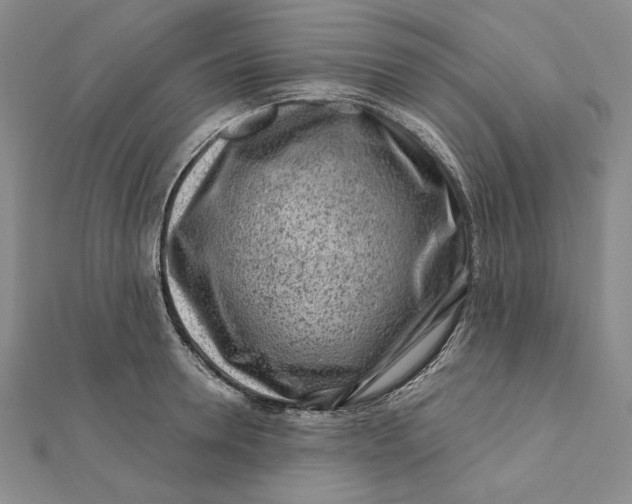 X0000112060946200908251018