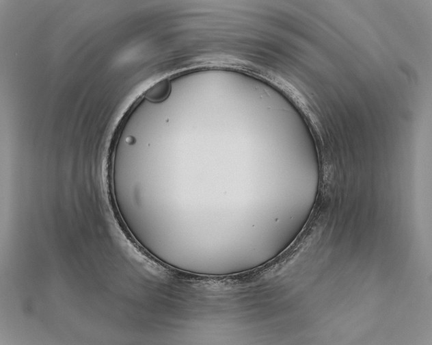 X0000112060947200908251018