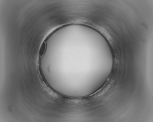 X0000112060948200908251018