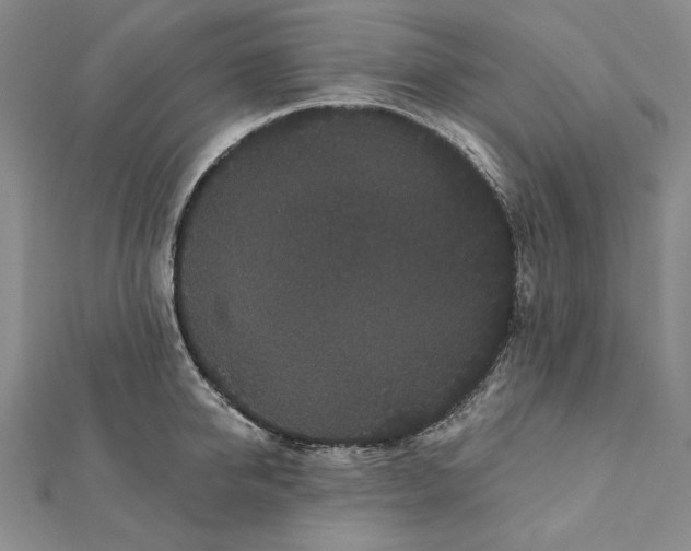 X0000112060950200908251018