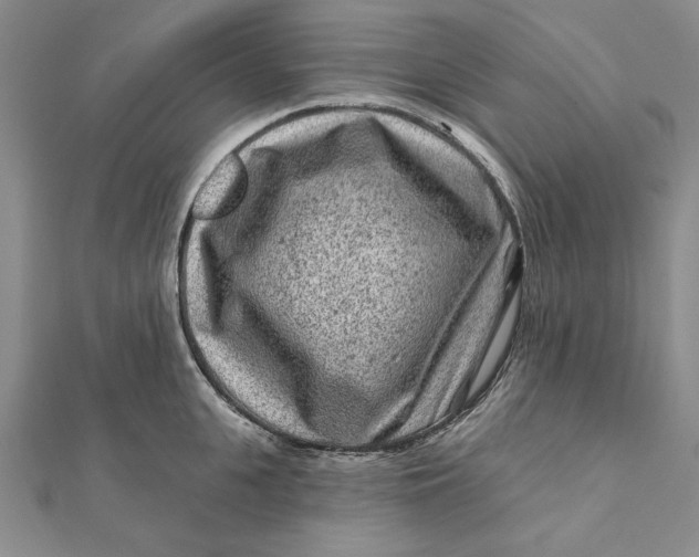 X0000112060951200908251018