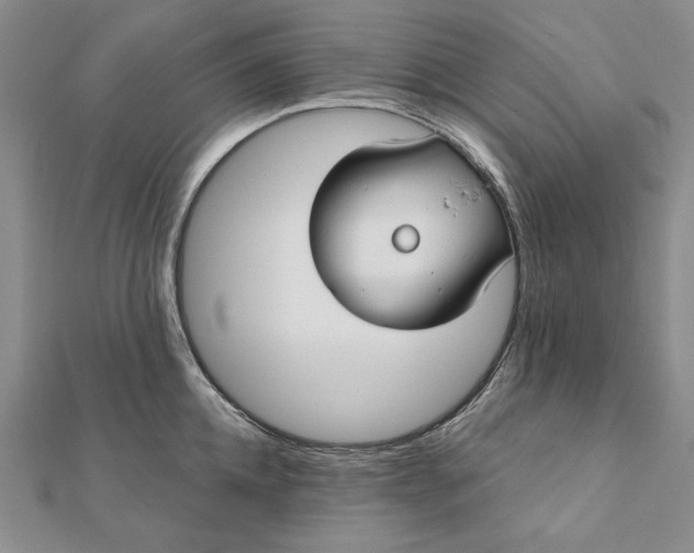 X0000112060952200908251018