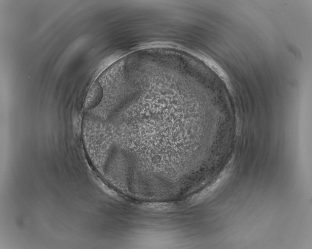 X0000112060953200908251018