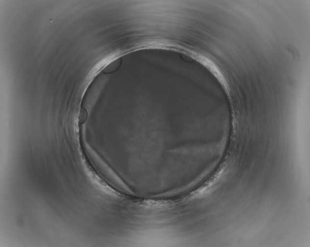 X0000112060954200908251018