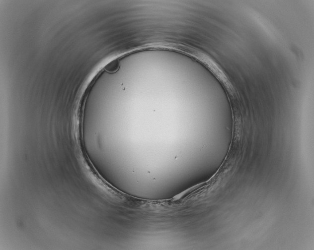 X0000112060955200908251018