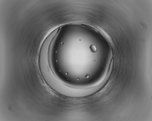 X0000112060956200908251018