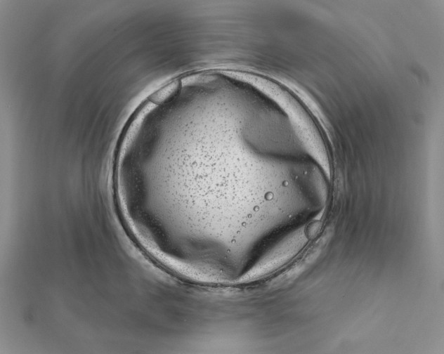 X0000112060957200908251018