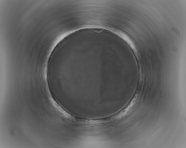 X0000112060958200908251018