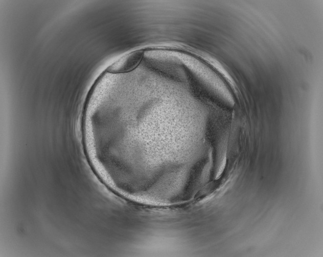 X0000112060959200908251018