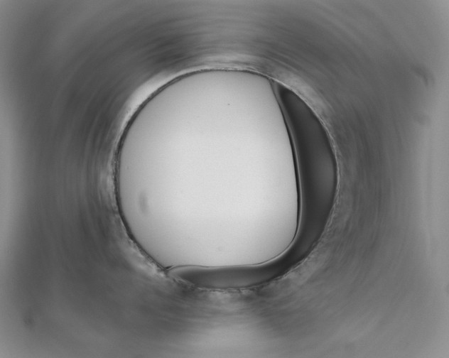 X0000112060960200908251018