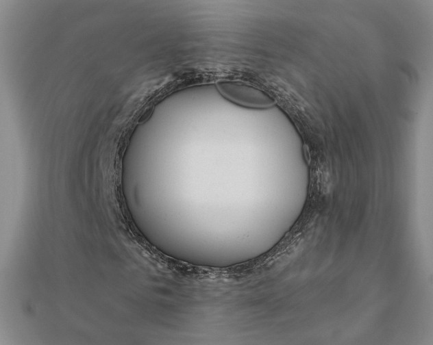 X0000112060961200908251017