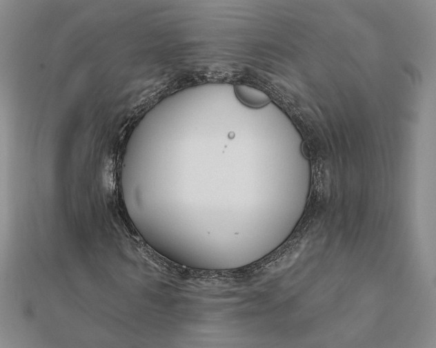 X0000112060962200908251017