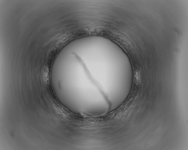 X0000112060963200908251017