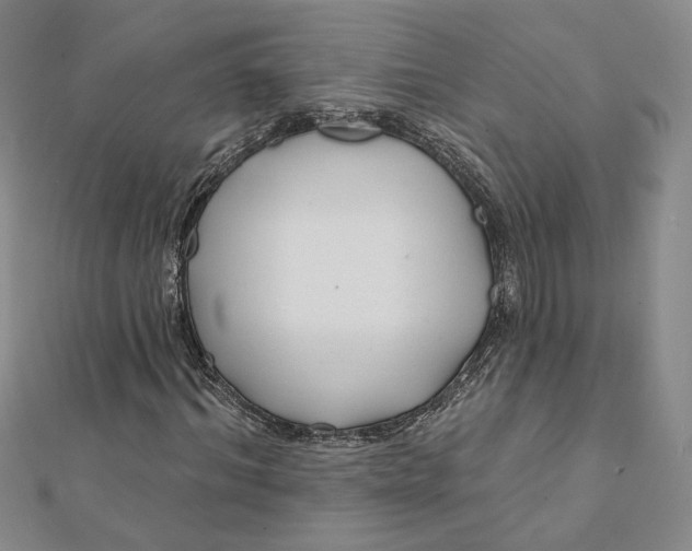 X0000112060964200908251017