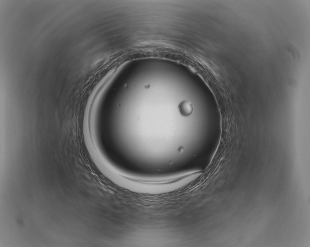 X0000112060965200908251017