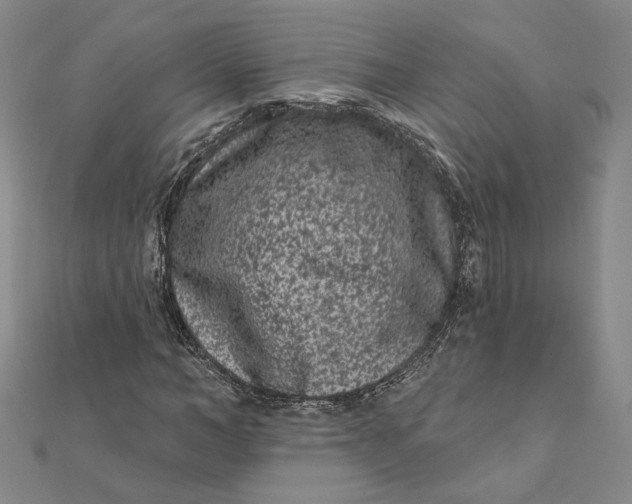 X0000112060966200908251017