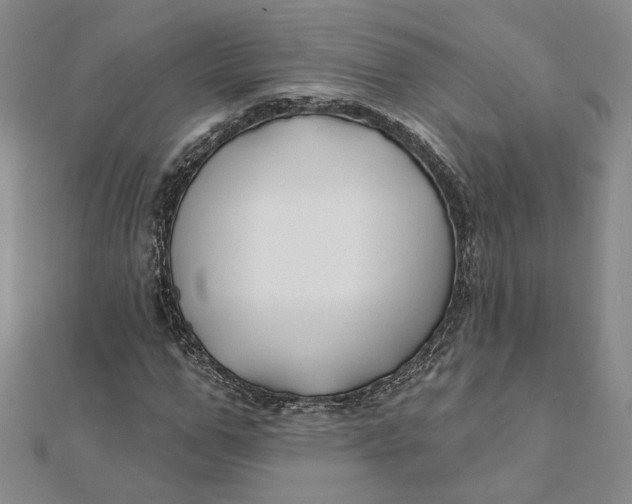 X0000112060967200908251017