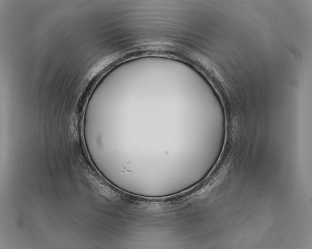 X0000112060970200908251017