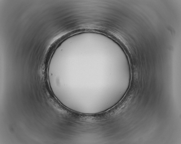 X0000112060971200908251017