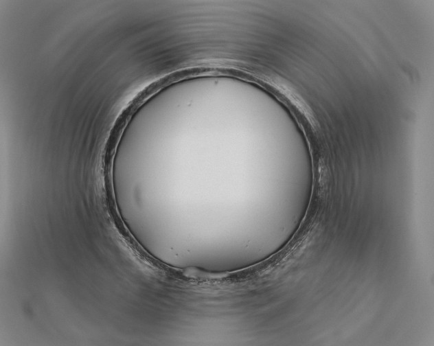 X0000112060972200908251017