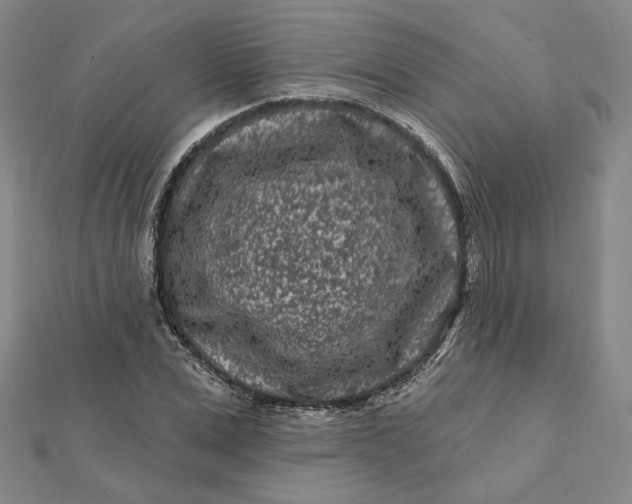 X0000112060975200908251017