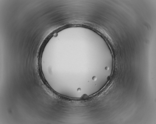 X0000112060976200908251017