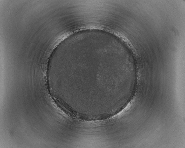 X0000112060977200908251017