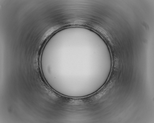 X0000112060978200908251017