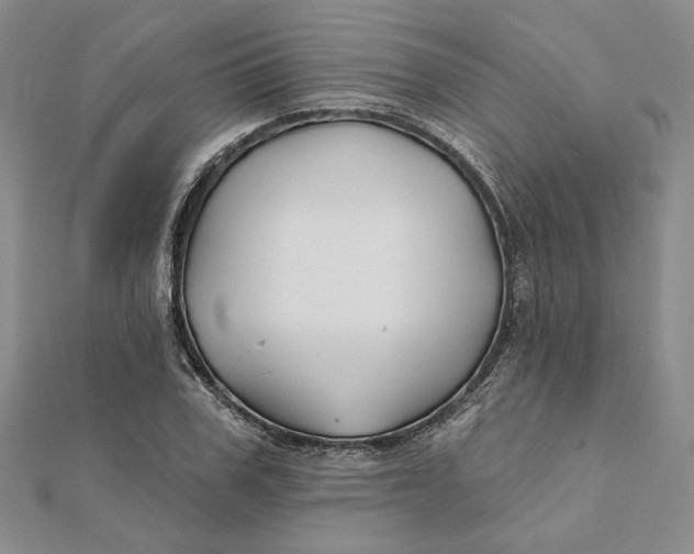 X0000112060979200908251017