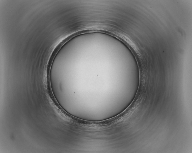 X0000112060980200908251017