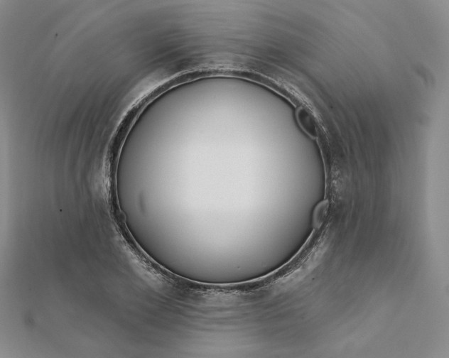 X0000112060981200908251017